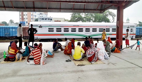 কোরবানির মাংসের সন্ধানে তারা ঈশ্বরদীতে