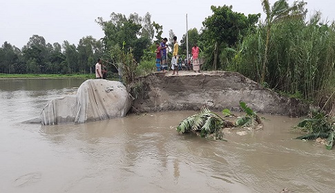 কুড়িগ্রামে ব্রহ্মপুত্র নদের ভাঙনে বিলিন বাড়িঘর আবাদিজমিসহ কমিউনিটি ক্লিনিক