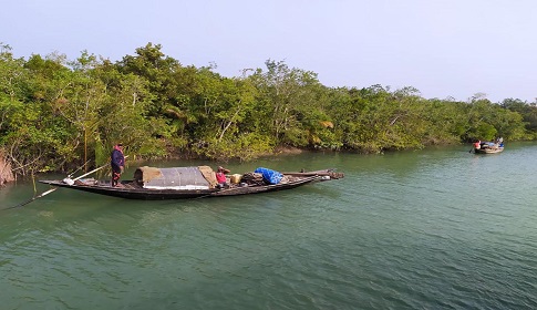 সুন্দরনে প্রাণপ্রকৃতি সুরক্ষায় শুরু ড্রোনের ব্যবহার, মিলছে সুফল 