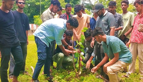 কর্ণফুলী সরকারি কলেজ ছাত্রদলের উদ্যোগে বৃক্ষরোপণ কর্মসূচি পালিত