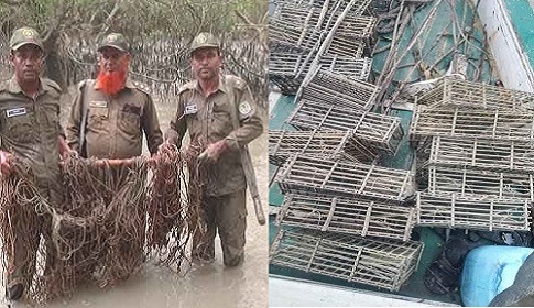 সুন্দরবনে হরিণ শিকারের ৬০০ ফাঁদ আটক 