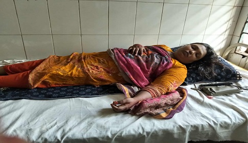 পলাশবাড়ীতে অতর্কিত হামলায় নারী আহত