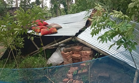 সালথায় পাঁচ মিনিটের ঝড়ে ৭টি বসতঘর বিধ্বস্ত