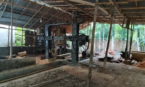 সালথায় করাত কলের শব্দে অতিষ্ঠ এলাকাবাসী
