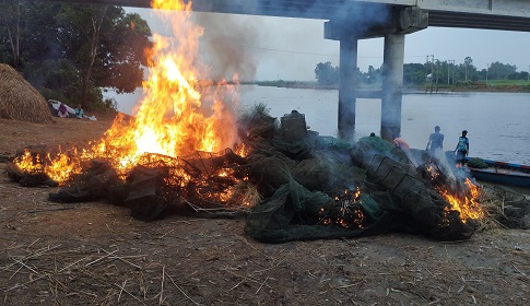 চাটমোহরে ২০ লক্ষাধিক টাকার চায়না দুয়ারি জাল পুড়িয়ে ধ্বংস