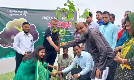সাতক্ষীরায় সামাজিক বনায়ন কর্মসূচি উদ্বোধন