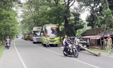 গোপালগঞ্জে পৃথক সড়ক দুর্ঘটনায় নিহত ৩ 