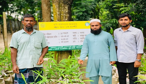 ফরিদপুরে ‘বস্তায় আদা চাষ’ বিষয়ক মাঠ দিবস