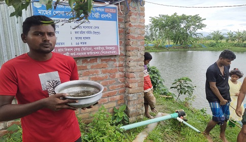 দিনাজপুরে দেশী টেংরা মাছের পোনা উৎপাদনে মনির হোসেনের ব্যাপক সাফল্য