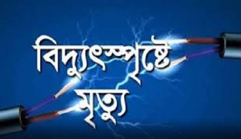 মামার বাড়িতে বেড়াতে এসে বিদ্যুৎস্পৃষ্টে ভাগ্নের মৃত্যু
