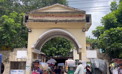 কুষ্টিয়ায় সাপের কামড়ে বৃদ্ধার মৃত্যু