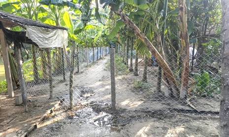 শৈলকুপায় চলাচলের রাস্তায় বেড়া, অবরুদ্ধ পরিবার
