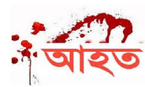 সালথায় পূর্ব শত্রুতার জেরে হাতুড়ি পেটায় আহত এক ব্যক্তি