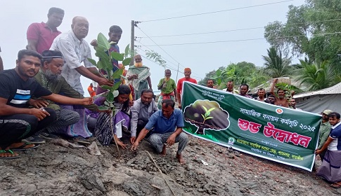 মেগা প্রকল্প স্থায়িত্বশীল করতে শ্যামনগরে বেড়িবাঁধে বৃক্ষ রোপণ