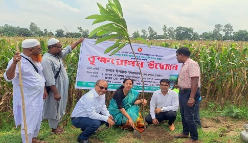 ঠাকুরগাঁওয়ে বৃক্ষরোপণ কার্যক্রম উদ্বোধন