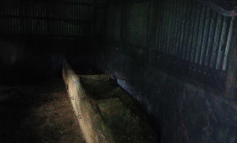 সালথায় গ্রাম পুলিশের গোয়াল ঘর ফাঁকা
