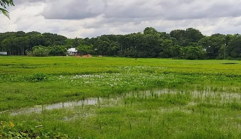 কাগজে খাল আছে, বাস্তবে নেই