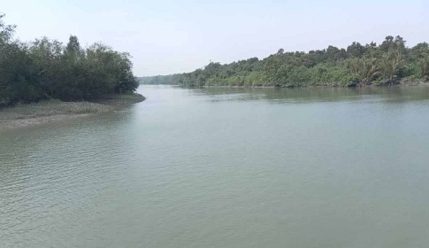 লাগাতর অভিযানে প্রাণ ফিরেছে সুন্দরবনে 