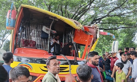 মধুখালীতে সড়ক দুর্ঘটনায় আহত একাধিক ব্যক্তি