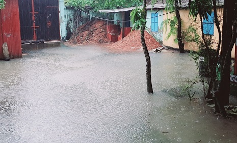 মুষলধারে বৃষ্টিতে ডুবল নোয়াখালী, জলাবদ্ধতায় দুর্ভোগ চরমে