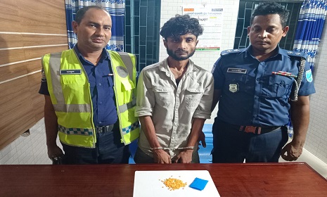 ফরিদপুরে ১৯৪ পিস ইয়াবাসহ মাদক ব্যবসায়ী আরিফ মোল্লা গ্রেপ্তার