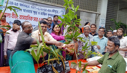 বিনামূল্যে গাছের চারা বিতরণ