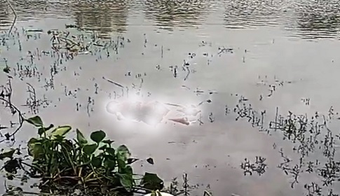 চাটমোহরে গুমানী নদী থেকে অজ্ঞাত শিশুর মরদেহ উদ্ধার