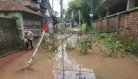 রাজবাড়ীর হাসপাতাল সড়কের বেহাল দশা