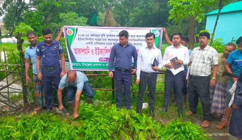 সুবর্ণচরে ইউক্যালিপটাস ও আকাশমনি গাছের চারা ধ্বংসে অভিযান