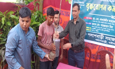 পলাশবাড়ী সমাজ কল্যাণ সংস্থার উদ্যোগে বৃক্ষরোপণ কর্মসূচি