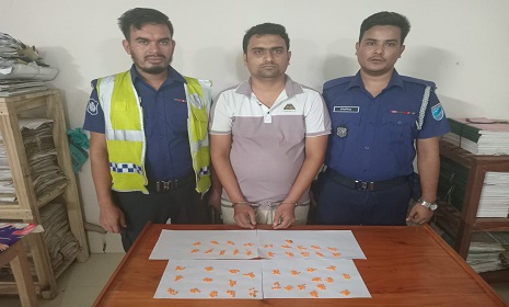 ইয়াবাসহ গ্রেপ্তার রাজবাড়ী-মধুখালী অঞ্চলের প্রধান মাদক সরবরাহকারী পলাতক ইসহাক শেখ