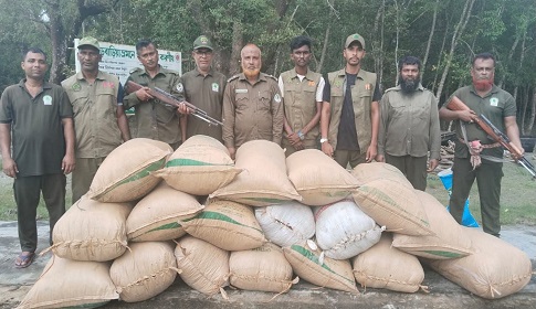 সুন্দরবনে ১৮ বস্তা ভর্তি শুটকি মাছ উদ্ধার
