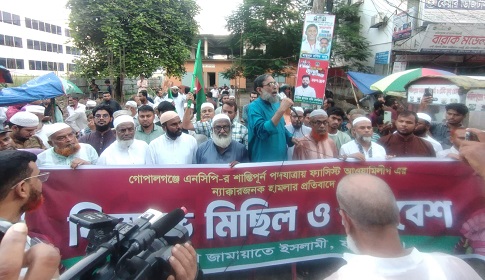 ফরিদপুরে জেলা জামায়াতের বিক্ষোভ মিছিল পথসভা