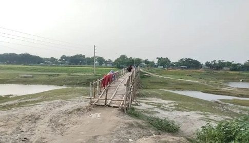 রাজবাড়ীতে ঝুঁকিপূর্ণ বাঁশের সাঁকোই সাত গ্রামের মানুষের ভরসা