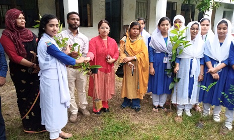 সোনাতলা বালিকা বিদ্যালয়ের শিক্ষার্থীদের মাঝে চারাগাছ বিতরণ