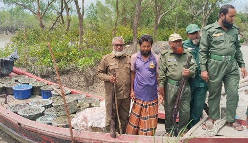 অবৈধভাবে সুন্দরবনে প্রবেশের অভিযোগে সাত জেলে আটক