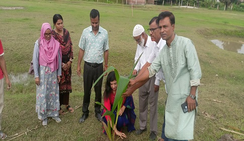 গাছ লাগিয়ে পরিবেশ রক্ষায় ইউএনও শাহীনুর আক্তার
