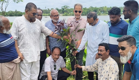 বাগেরহাটে জুলাই শহীদদের স্মরণে বিএনপির বৃক্ষরোপণ