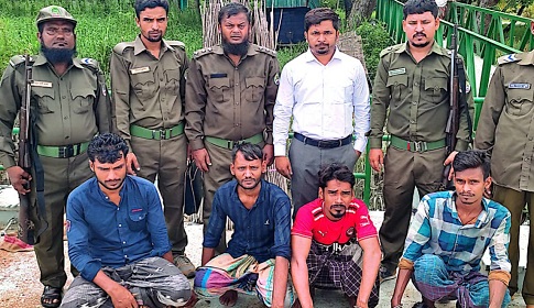 সুন্দরবনে অবৈধভাবে কাঁকড়া আহরণকালে ৪ জেলে আটক