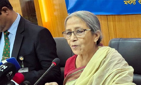 ইলিশের দাম বেশি হওয়ার কারণ জানালেন উপদেষ্টা