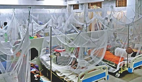 ডেঙ্গুতে আরও ৪ জনের মৃত্যু, হাসপাতালে ৩১৯