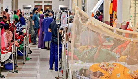 ডেঙ্গুতে আরও ৩ মৃত্যু, হাসপাতালে ৩৩১ জন