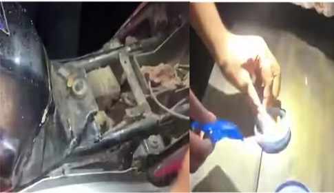 মোটরসাইকেলে মিললো ৮১ পিস ইয়াবা