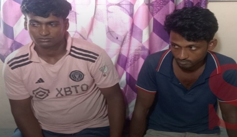 সাতক্ষীরায় মৃত গরু জবাই, ২ ব্যক্তির জেল-জরিমানা