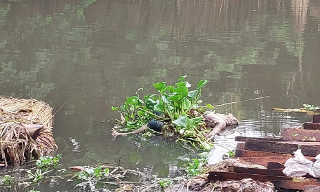 সালথায় অজ্ঞাত ব্যক্তির অর্ধগলিত লাশ উদ্ধার