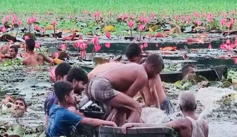 কাপাসিয়ায় শাপলা তুলতে গিয়ে পানিতে ডুবে দুই বন্ধুর মৃত্যু