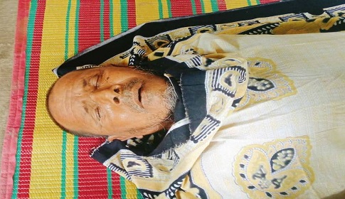 শ্যামনগরে ভীমরুলের কামড়ে কৃষকের মৃত্যু
