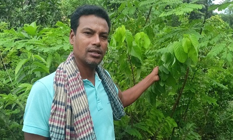 মহম্মদপুরে মিনহা নার্সারী করে সফল হুমায়ুন আহমেদ