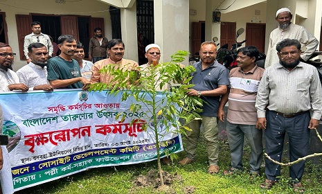 বাংলাদেশ তারুণ্যের উৎসব উপলক্ষে এসডিসির বৃক্ষ রোপণ কর্মসূচি