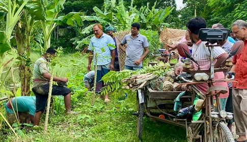 বট, পাকুড় আর কৃষ্ণচূড়ার ডালে বেঁচে থাকবে একাত্তরের গল্প